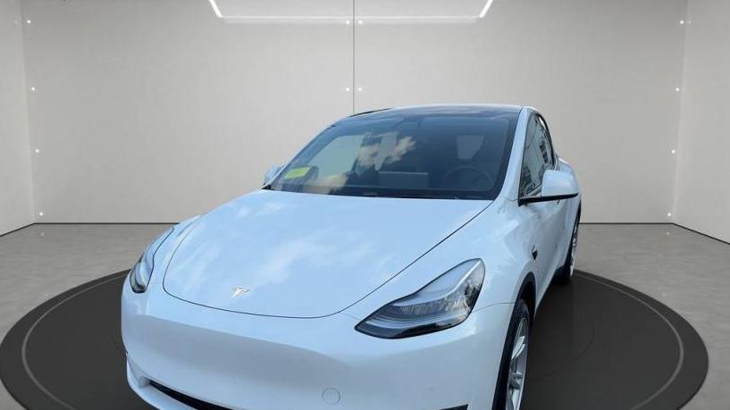 TESLA MODEL Y 2021 5YJYGDEE5MF065749 image